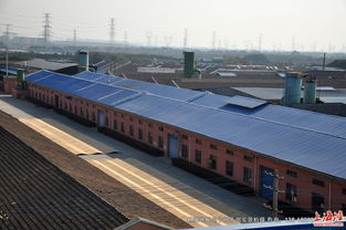 走進(jìn)林牌地板 探訪工廠風(fēng)貌與全實景產(chǎn)品展示，領(lǐng)略特殊鋼工藝的卓越品質(zhì)